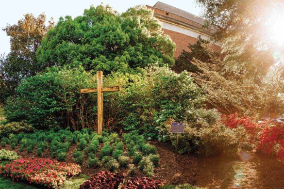 a photo of Regent University campus: Learn more about Regent Programs.